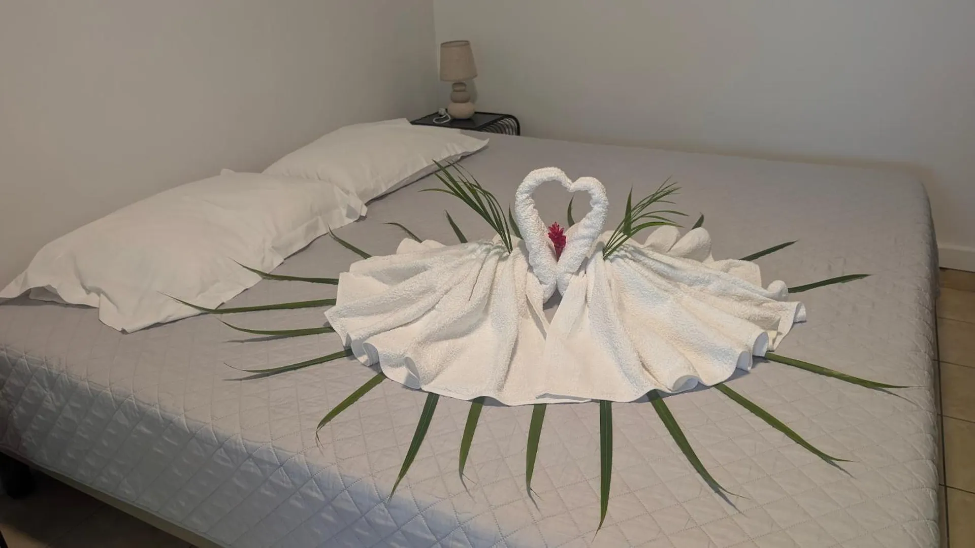 Studio Completement Independant 2 A 4 Pers Enjoy Pointe-Noire Guadalupe